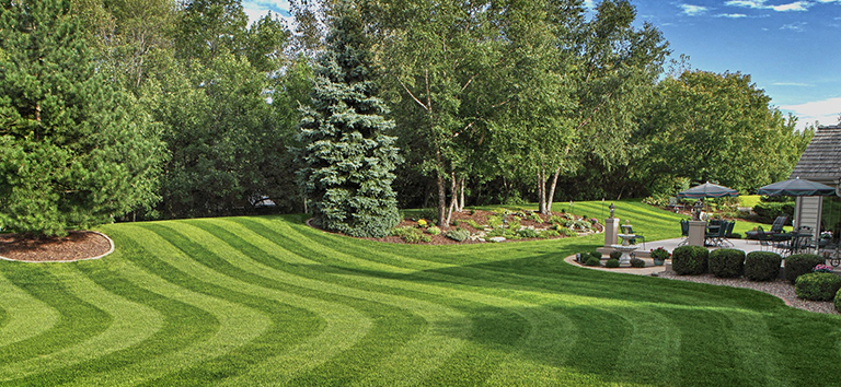 Expert lawn maintenance in Ontario CA